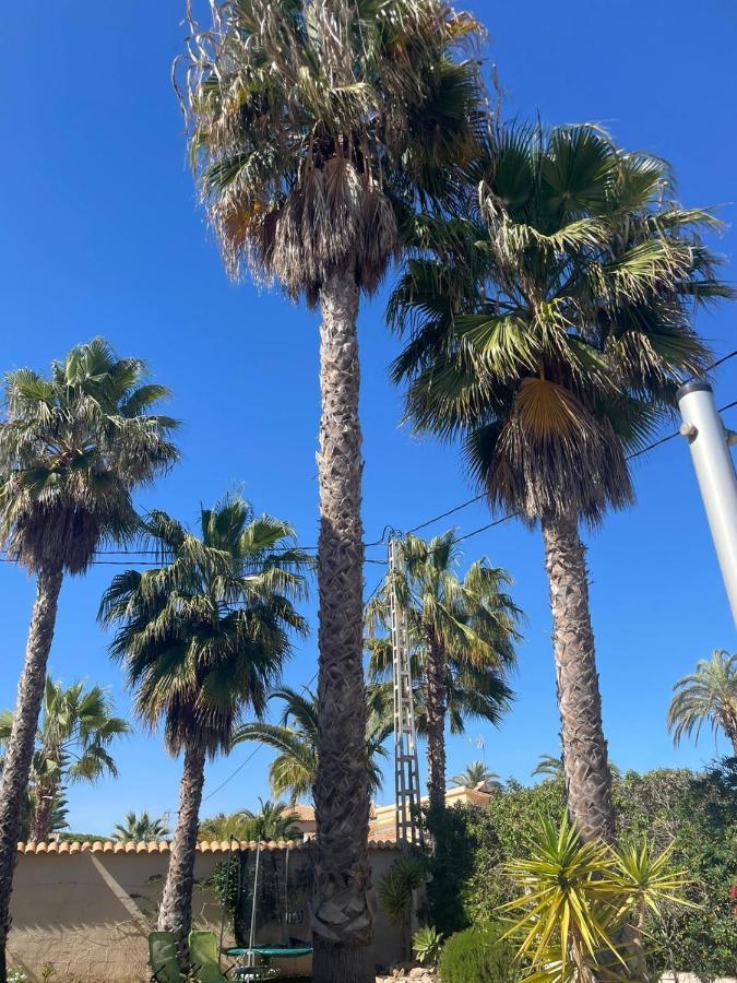 Palangre Beach Apartment Torrevieja Esterno foto